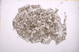 Plane Polarized, E5831