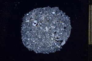 Cross Polarized, E5833