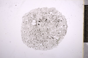 Plane Polarized, E5833