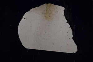 Cross Polarized, E5861