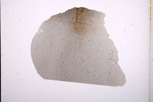 Plane Polarized, E5861