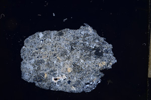 Cross Polarized, E5862