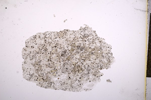 Plane Polarized, E5862