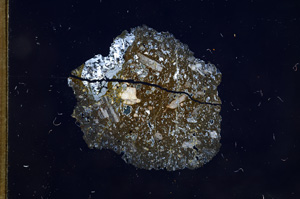 Cross Polarized, E5864