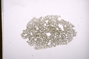 Plane Polarized, E5865