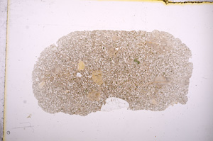 Plane Polarized, E5866