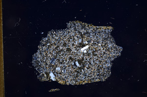 Cross Polarized, E5868