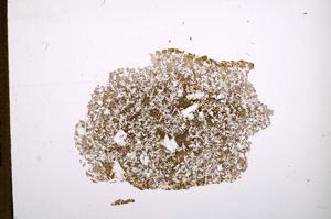 Plane Polarized, E5868