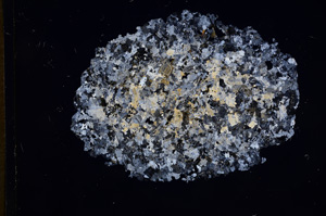 Cross Polarized, E5869