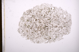 Plane Polarized, E5869