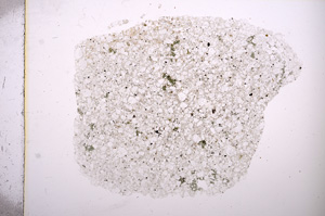 Plane Polarized, E5870