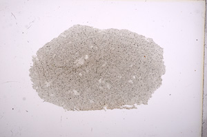 Plane Polarized, E5871