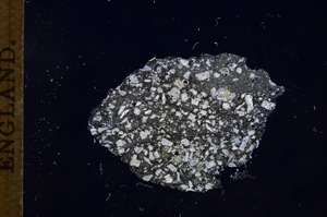 Cross Polarized, E5872