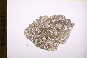 Plane Polarized, E5872