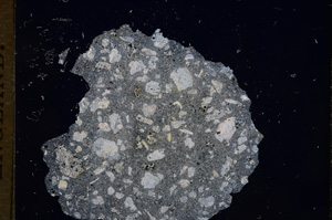 Cross Polarized, E5873