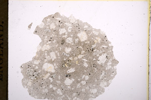 Plane Polarized, E5873