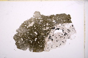 Plane Polarized, E5874