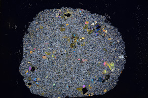 Cross Polarized, E5875