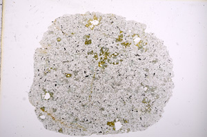 Plane Polarized, E5875