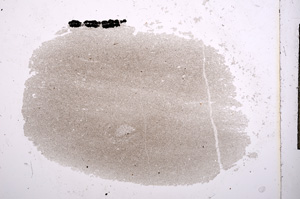 Plane Polarized, E5879