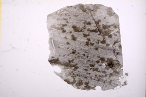 Plane Polarized, E5888