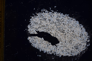 Cross Polarized, E5894