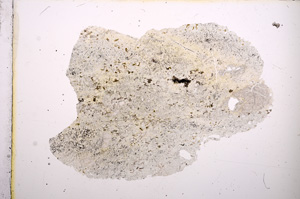 Plane Polarized, E5922