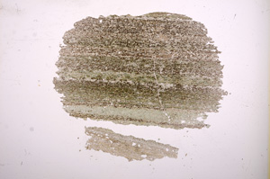 Plane Polarized, E5923