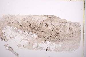 Plane Polarized, E5932