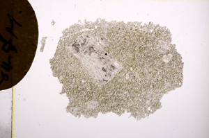 Plane Polarized, E5933
