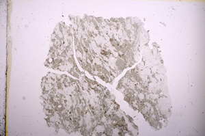 Plane Polarized, E5939