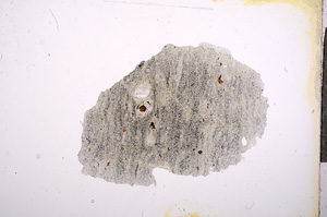 Plane Polarized, E5947