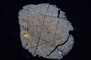 Cross Polarized, E5952
