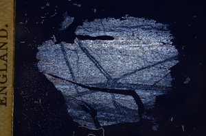 Cross Polarized, E5953