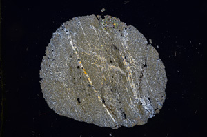 Cross Polarized, E5961