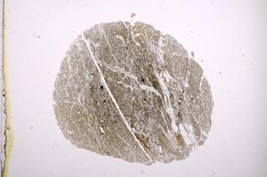 Plane Polarized, E5961