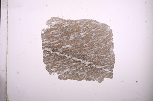 Plane Polarized, E5967