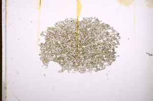 Plane Polarized, E5968