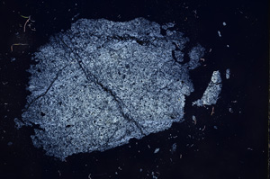 Cross Polarized, E5972