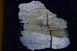 Cross Polarized, E5984