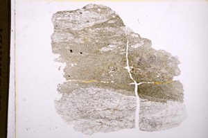 Plane Polarized, E5984