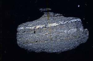 Cross Polarized, E5988