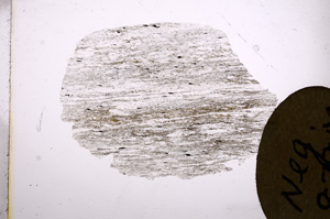 Plane Polarized, E5989