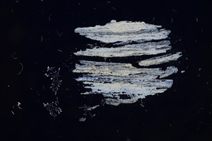 Cross Polarized, E5996