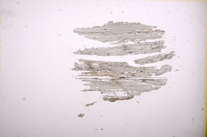Plane Polarized, E5996