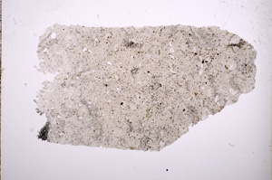 Plane Polarized, E6006