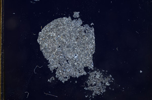 Cross Polarized, E6007