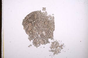 Plane Polarized, E6007