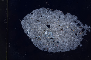 Cross Polarized, E6011