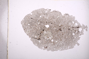 Plane Polarized, E6011